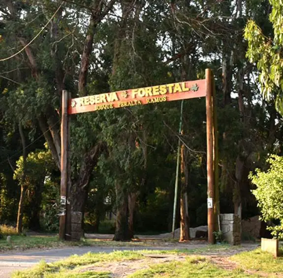 Terreno en venta en BOSQUE PERALTA RAMOS