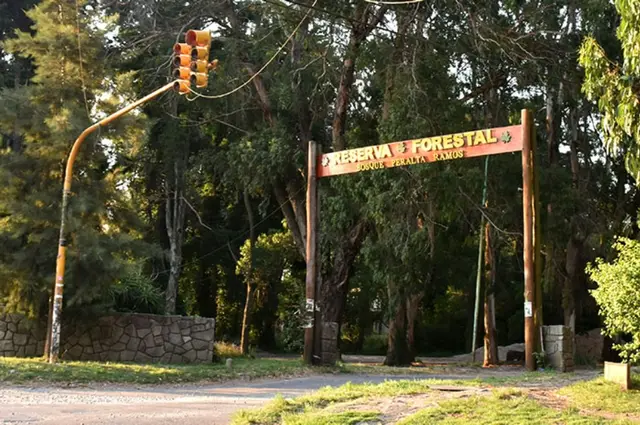 Departamento de 5 ambientes en venta en Bosque Peralta Ramos