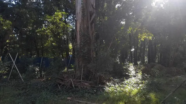 Terreno en venta en Centro