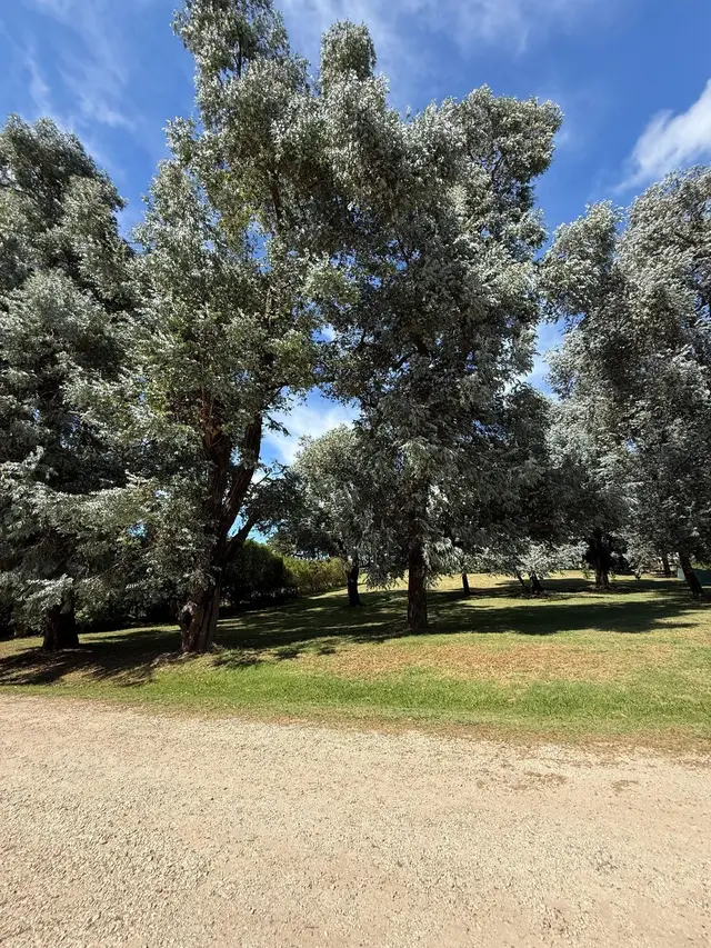 Terreno en venta en Mar del Plata