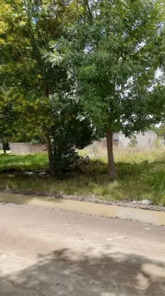 Terreno en venta en BOSQUE GRANDE