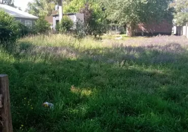 Terreno en venta en CAMET FELIX U.