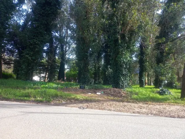 Terreno en venta en BOSQUE PERALTA RAMOS