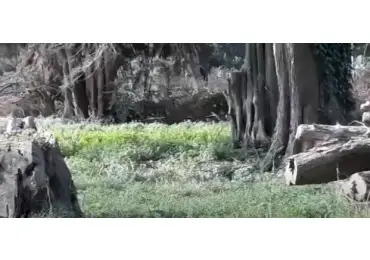 Terreno en venta en Los Acantilados