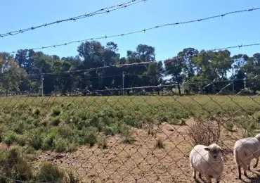 Terreno en venta en Mar del Plata