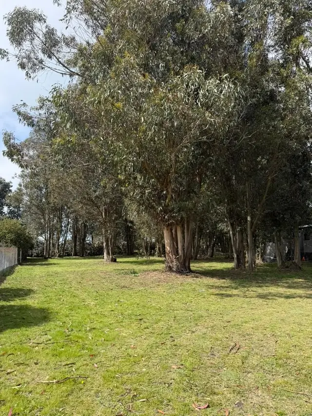 Terreno en venta en Mar del Plata