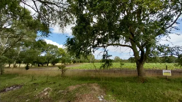 Terreno en venta en LA GLORIA DE LA PEREGRINA