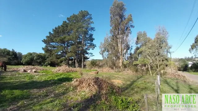 Terreno en venta en LA GLORIA DE LA PEREGRINA