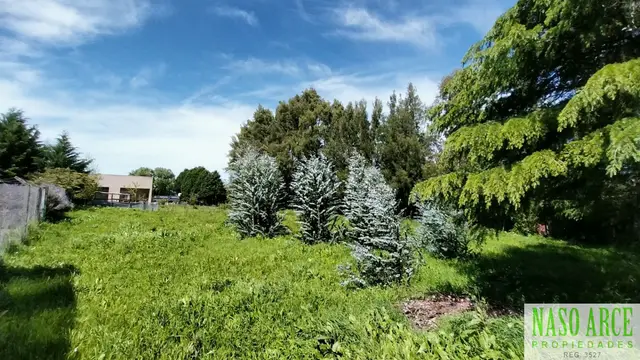 Terreno en venta en LA GLORIA DE LA PEREGRINA