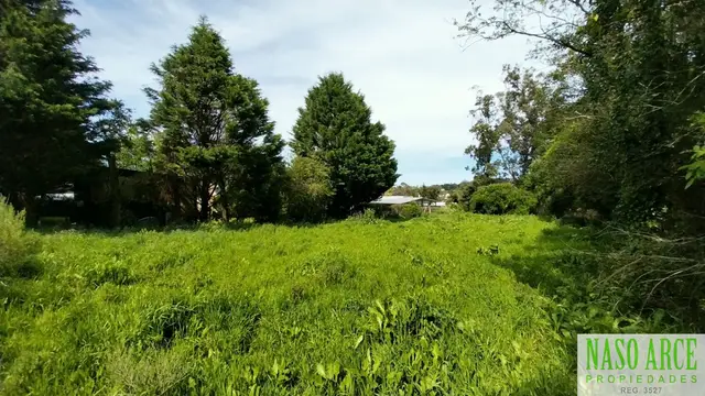 Terreno en venta en LA GLORIA DE LA PEREGRINA