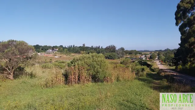 Terreno en venta en LA GLORIA DE LA PEREGRINA