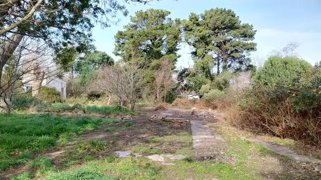 Terreno en venta en LA GLORIA DE LA PEREGRINA