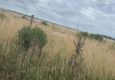 Terreno en venta en Playa Chapadmalal