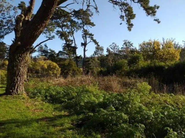 Terreno en venta en LA GLORIA DE LA PEREGRINA