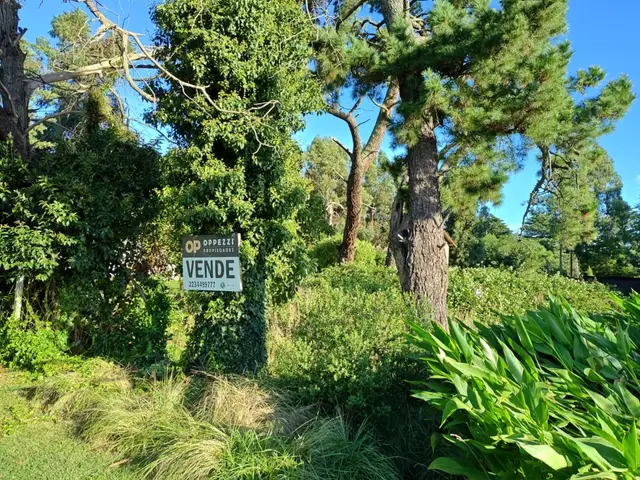 Terreno en venta en LA GLORIA DE LA PEREGRINA