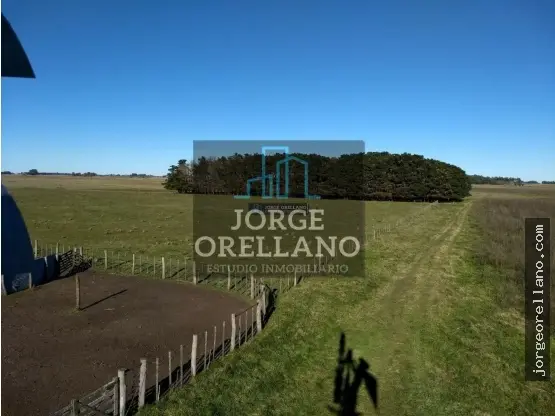 Terreno de 1 ambiente en venta en Mar del Plata