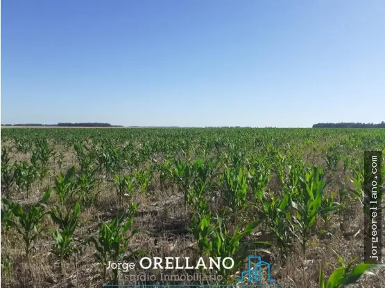 Terreno de 1 ambiente en venta en Mar del Plata