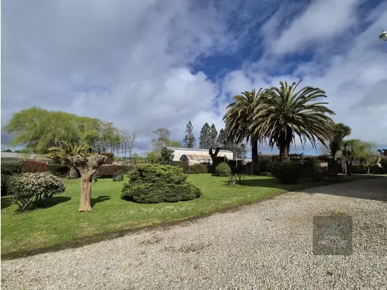 Local de 1 ambiente en venta en Mar del Plata