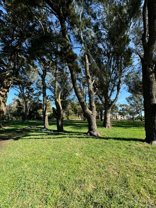 Terreno en venta en PUNTA MOGOTES