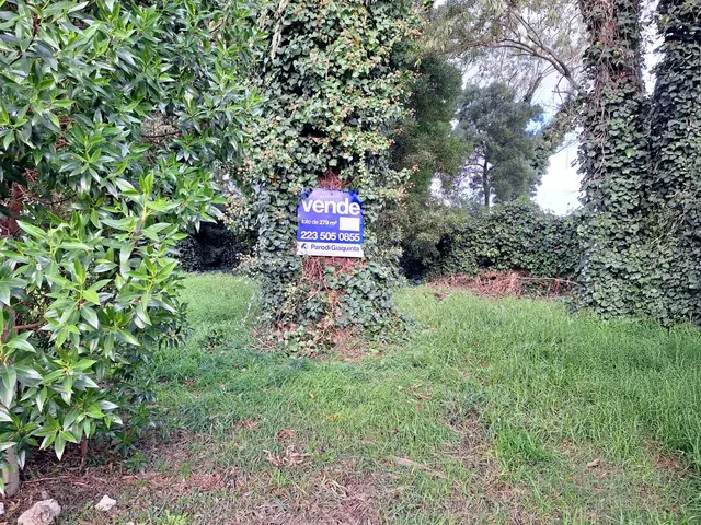 Terreno en venta en LAS MARGARITAS