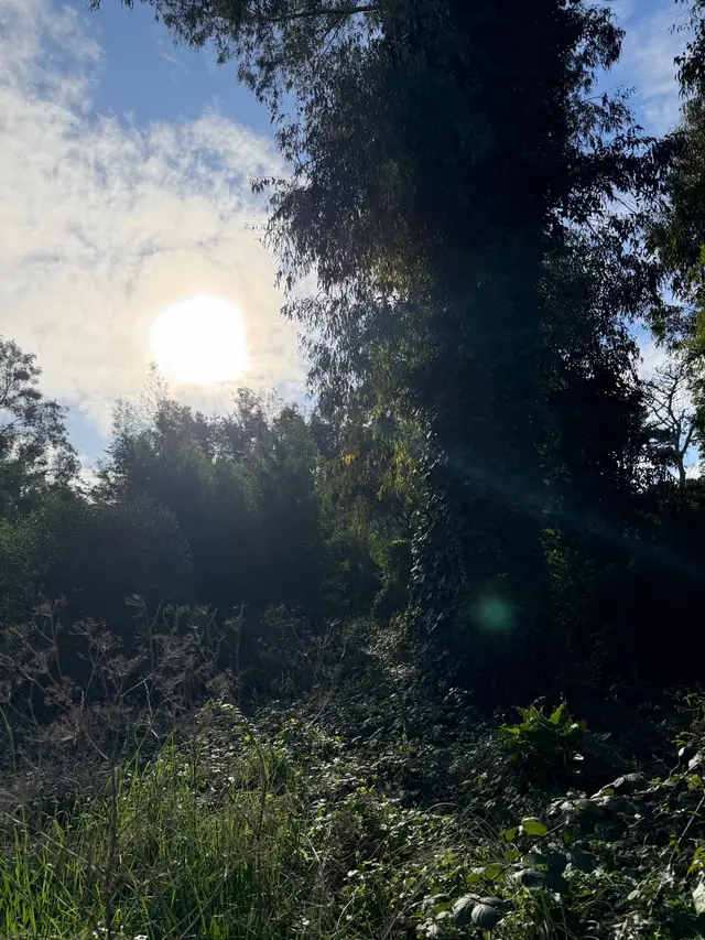 Terreno en venta en BOSQUE PERALTA RAMOS