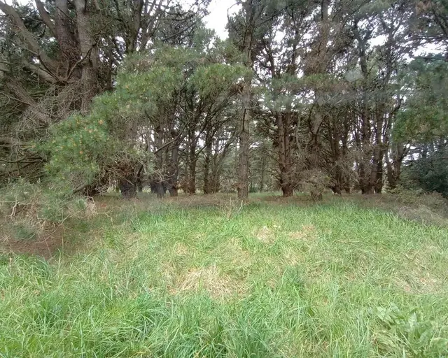 Terreno en venta en Mar del Plata