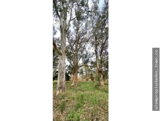 Terreno de 1 ambiente en venta en Los Acantilados