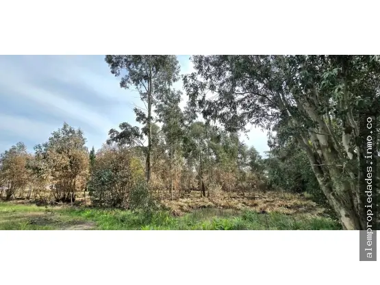 Terreno de 1 ambiente en venta en Los Acantilados