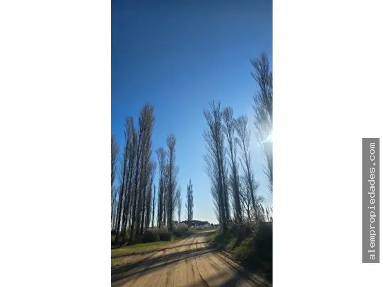 Terreno de 1 ambiente en venta en Mar del Plata