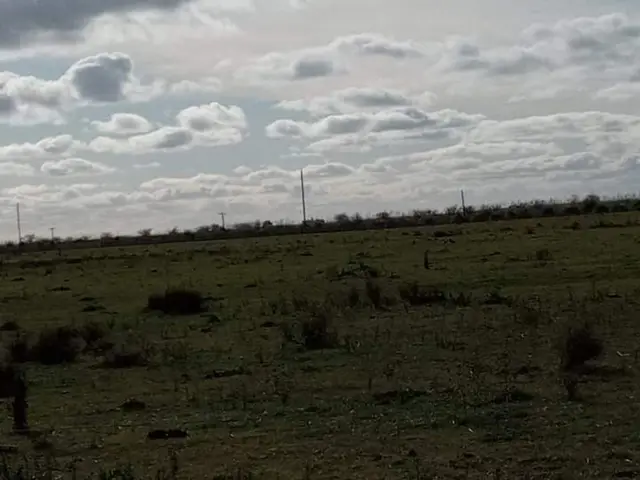 Terreno en venta en Centro