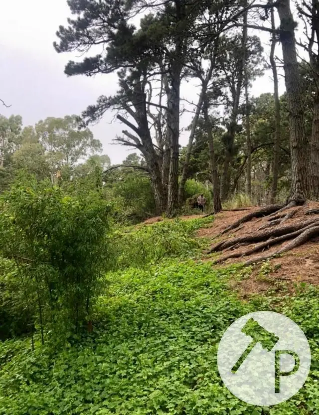 Terreno en venta en Centro