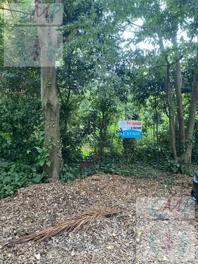 Terreno en venta en PARQUE MONTEMAR-EL GROSELLAR