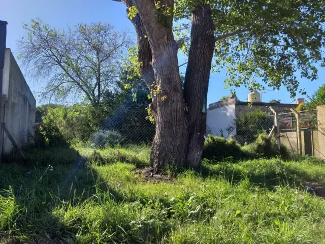 Terreno en venta en ZACAGNINI JOSE MANUEL