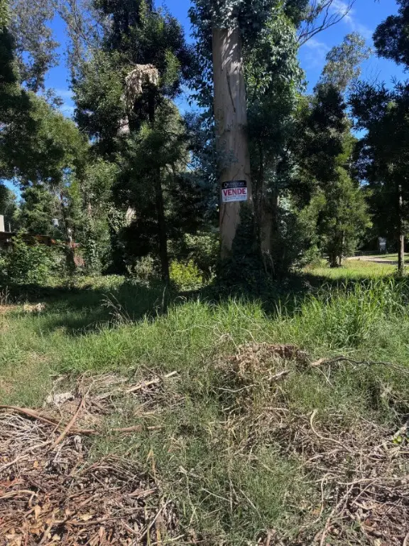 Terreno en venta en BOSQUE PERALTA RAMOS
