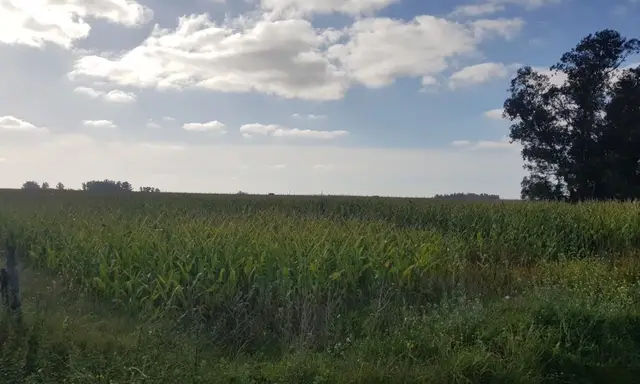 Terreno en venta en San Agustín