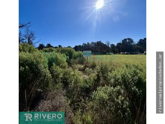 Terreno de 1 ambiente en venta en Mar del Plata