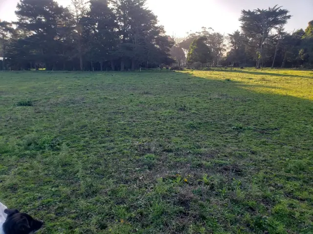 Terreno en alquiler en LAS RETAMAS