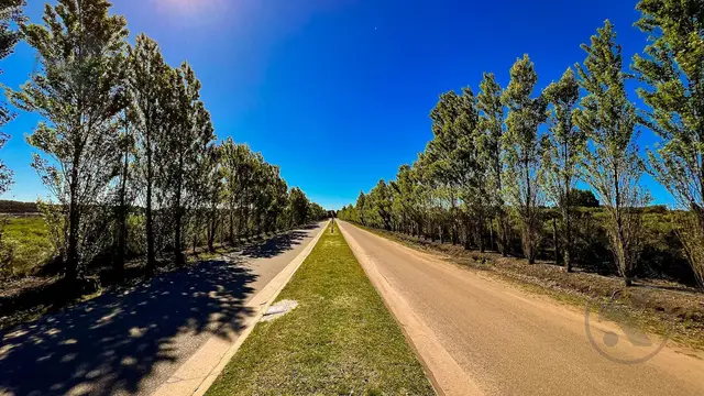 Terreno en venta en BOSQUE PERALTA RAMOS