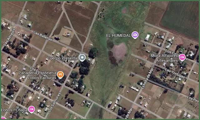 Terreno en venta en PLAYA LOS LOBOS