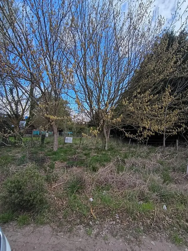 Terreno en venta en Sierra de los Padres