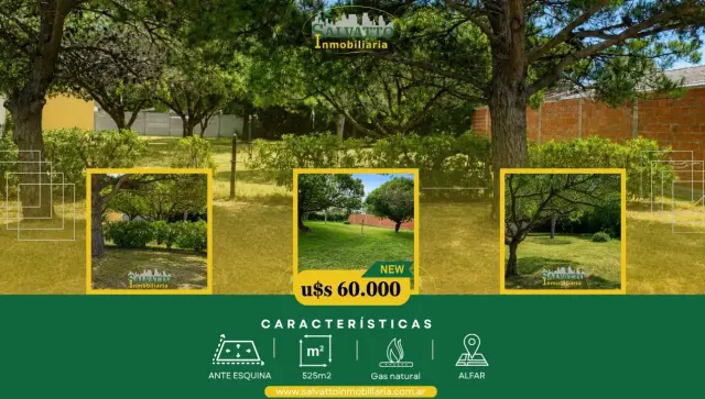 Terreno en venta en Alfar