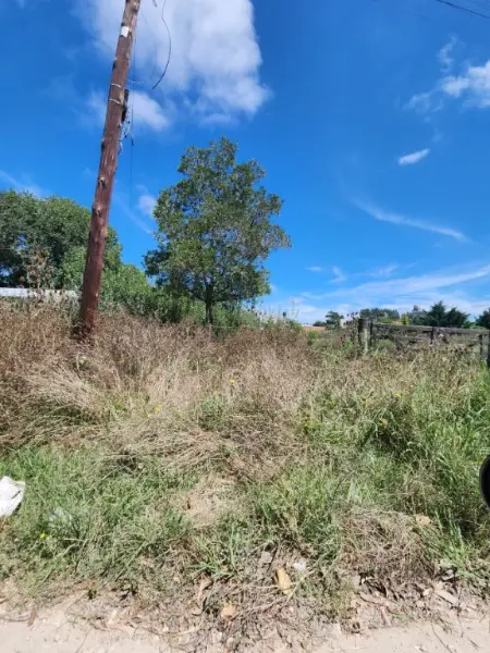 Terreno en venta en Centro