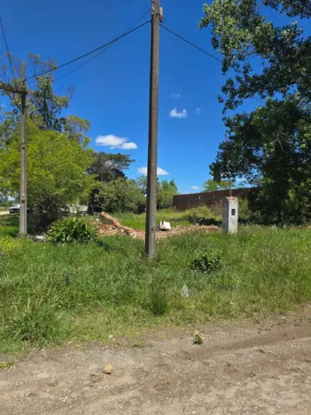 Terreno de 5 ambientes en venta en Playa los Lobos