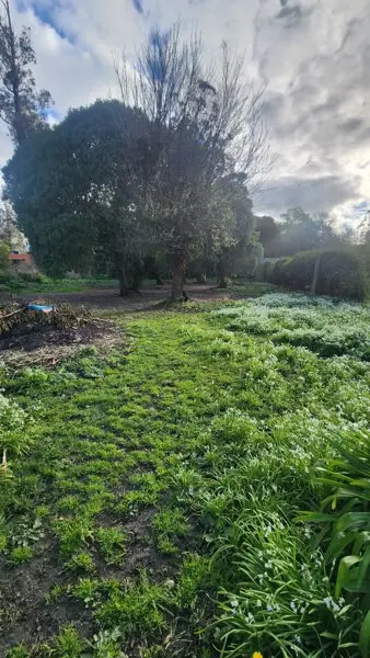 Terreno en venta en Mar del Plata