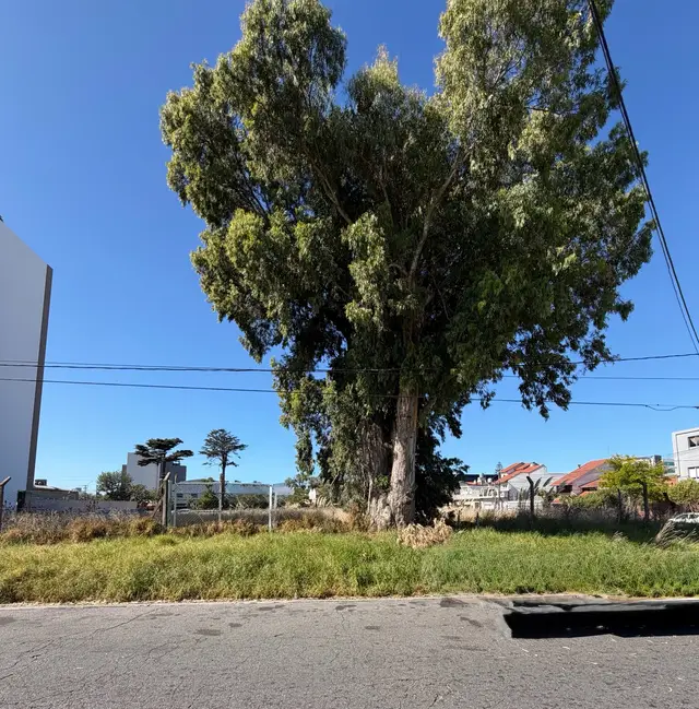Terreno en venta en LAS AVENIDAS