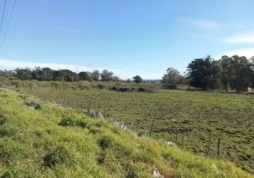 Terreno en venta en SANCHEZ FLORENCIO