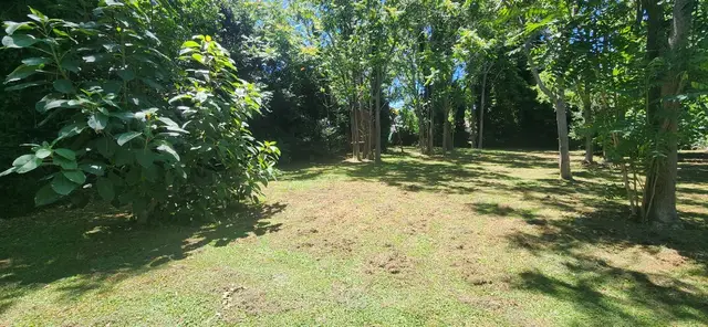 Terreno en venta en Centro